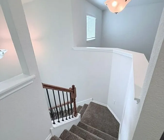 1729 Friesian Loop — Photo 40