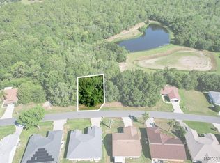 911 W Colbert Ct, Beverly Hills, FL 34465