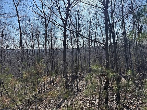 2nd image of 0-0B Brimfield Rd