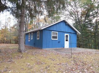 9224 W Ten Mile Rd, Irons, MI 49644