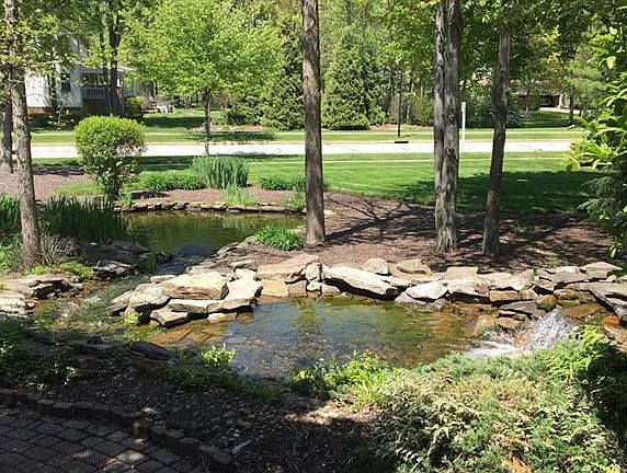 4th image of 35640 Spicebush Ln
