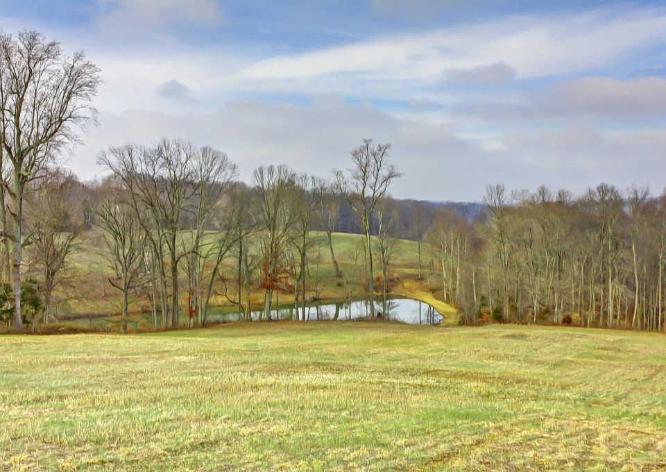 2nd image of 8351 Horseshoe Rd