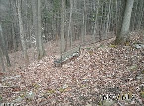4th image of 0 Whitetail Dr
