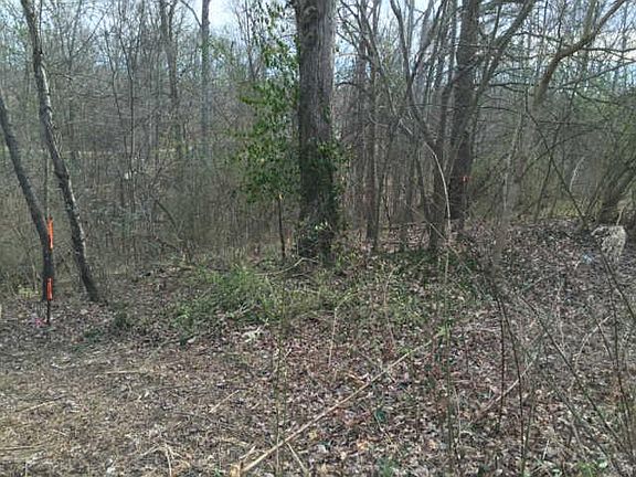 5th image of 85 Cadiz Ln #85