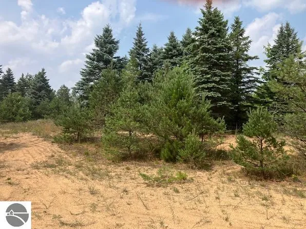 3806 N 2 1/2 Rd, Buckley, MI 49620