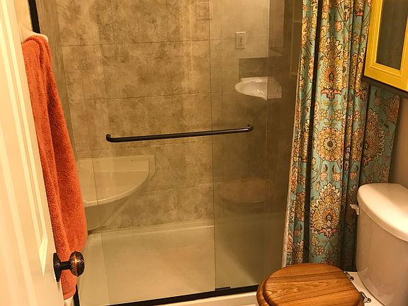 Hall bathroom walk-in shower