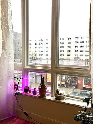 Rented by City Vista Inc | media 54