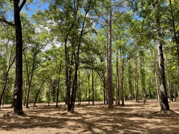 10239 Thousand Oaks Cir, Tallahassee, FL 32309