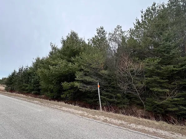 9537 Lakeview Rd, Alanson, MI 49706