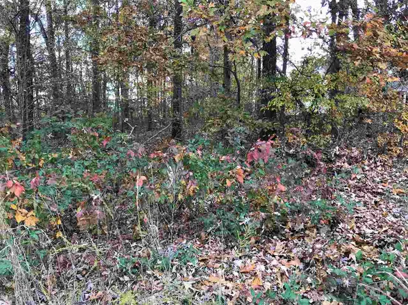 1 Countrywood Dr, Selmer, TN 38375