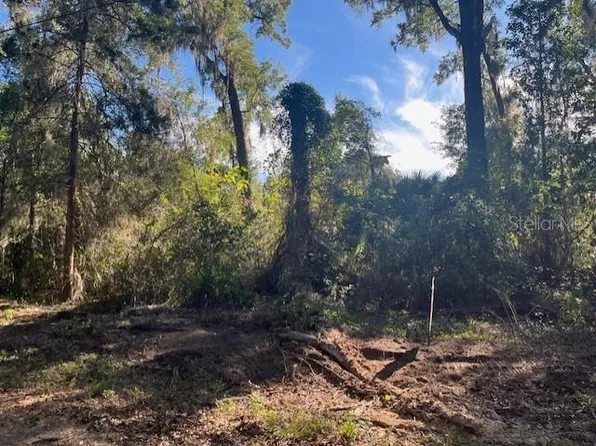 160 Northwest St, Reddick, FL 32686