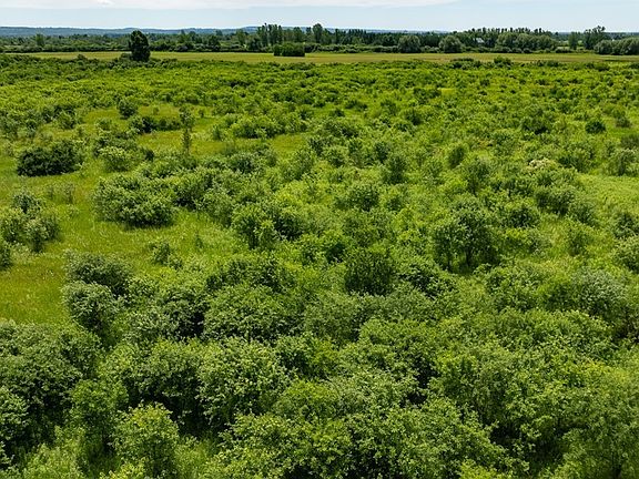 4th image of Nys Rte Lot 342-2
