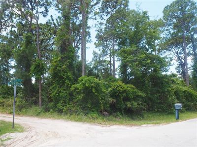 Lin Gina Ter LOT 25, Edgewater, FL, 32141