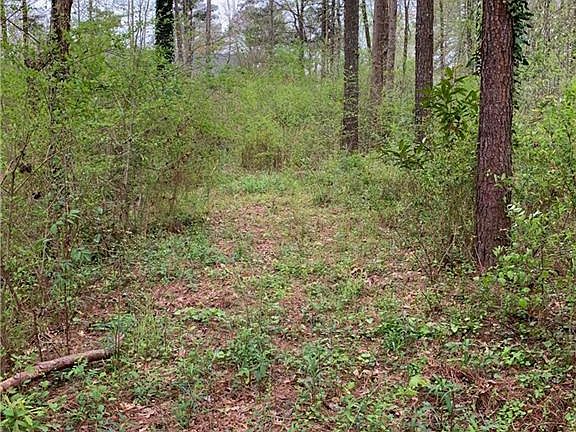 2nd image of 6875 Pawnee Trl SE Lot 49