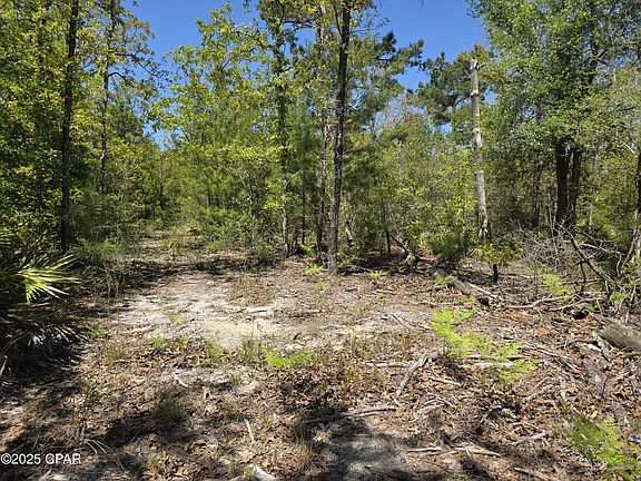 3rd image of LOT 15 Adams Dr