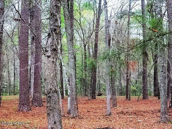 85 Harbour View Drive, Chocowinity, NC 27817