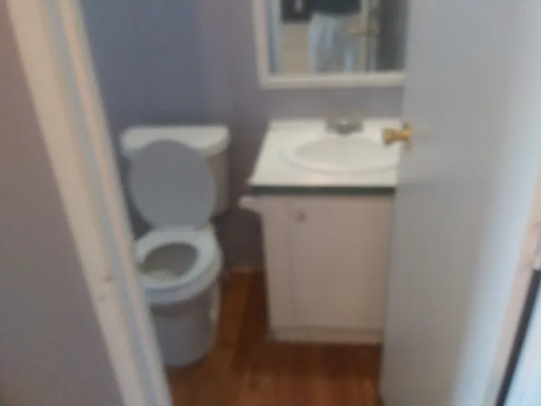 20322 Mountaindale Dr — Photo 4