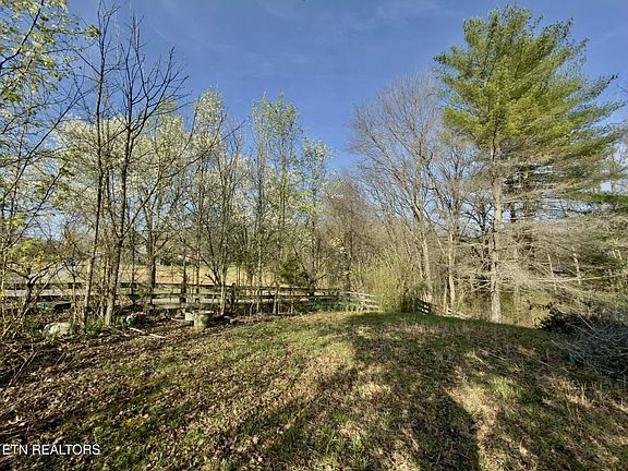 5th image of 205 Knight Hollow Ln