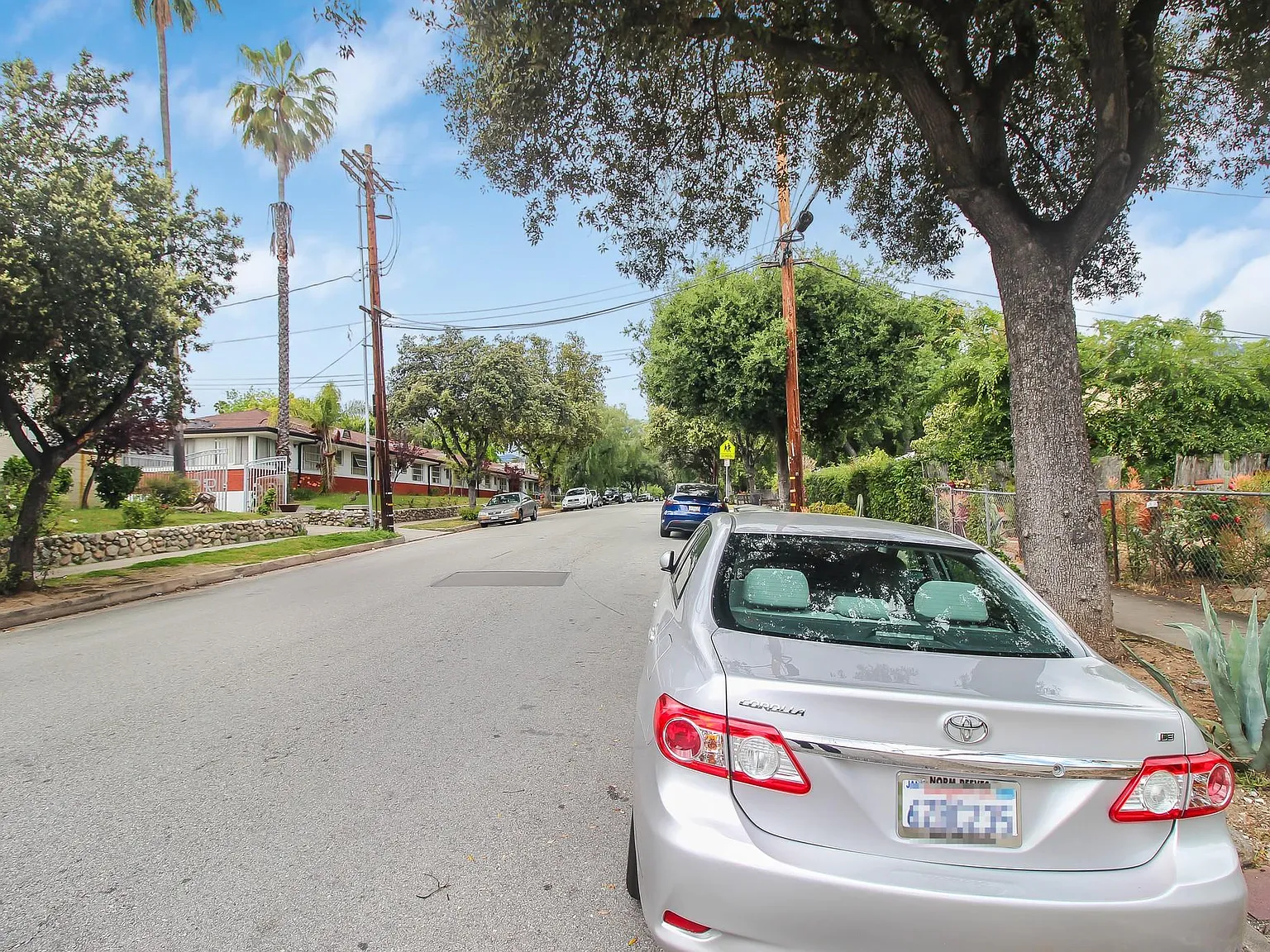 3 bed, 1315 sqft, $3,200 — Photo 3