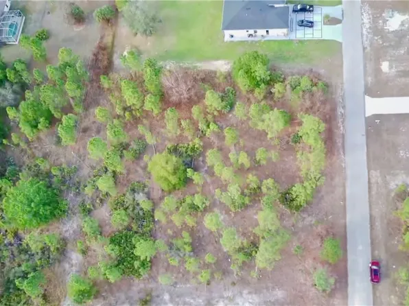1005 Hamilton Ave, Lehigh Acres, FL 33972