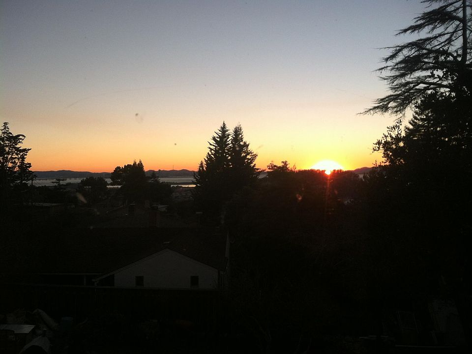 The view from the back deck