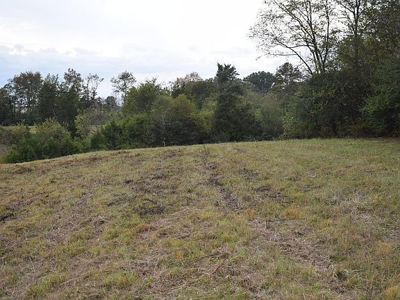 3rd image of Lot 1 Wilkerson Ln Lot 1