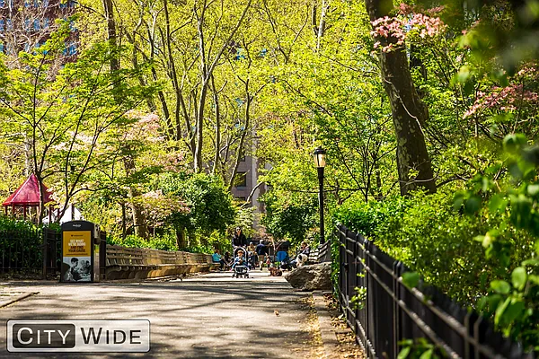 Rented by City Wide Apartments | media 1