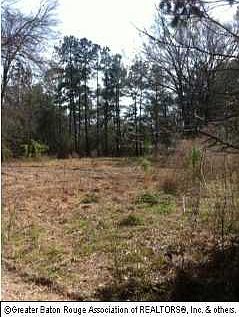 2nd image of 48 & 49 Tickfaw Dr