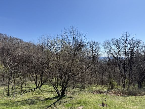 3rd image of 0 Ed Seay Gregory Ln Lot 10