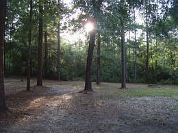 4th image of 5611 Dwan Ln