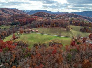 1109 Mountain View Rd, Rogersville, TN 37857