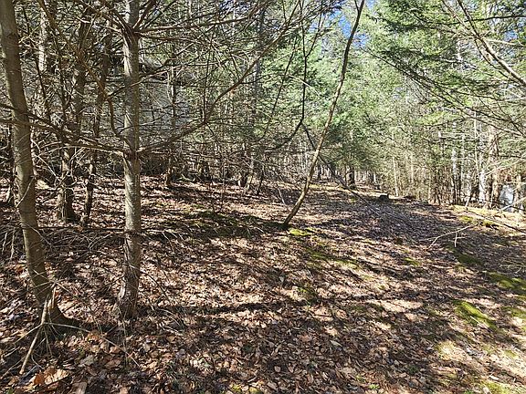 3rd image of 4 First Fork Rd