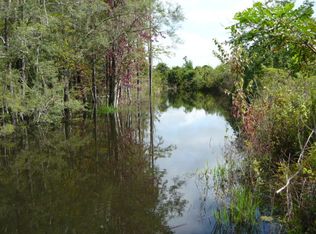 2534 Finks Mill Rd, Samson, AL 36477