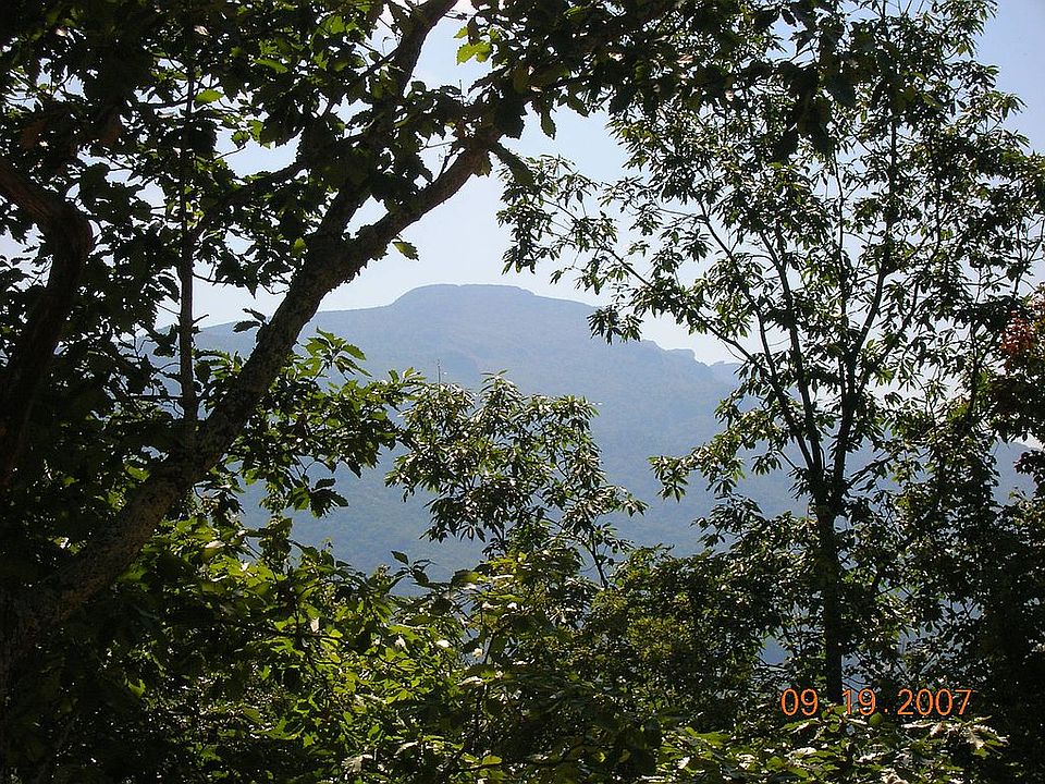 2nd image of Lot #25 Greencove Drive
