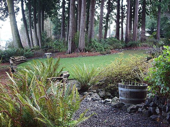A stroll in the front yard