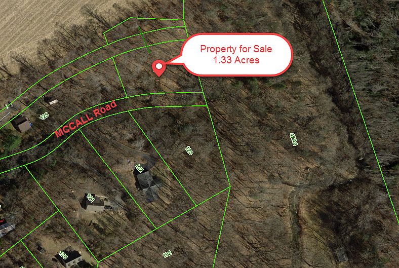 2nd image of 290 McCall Rd