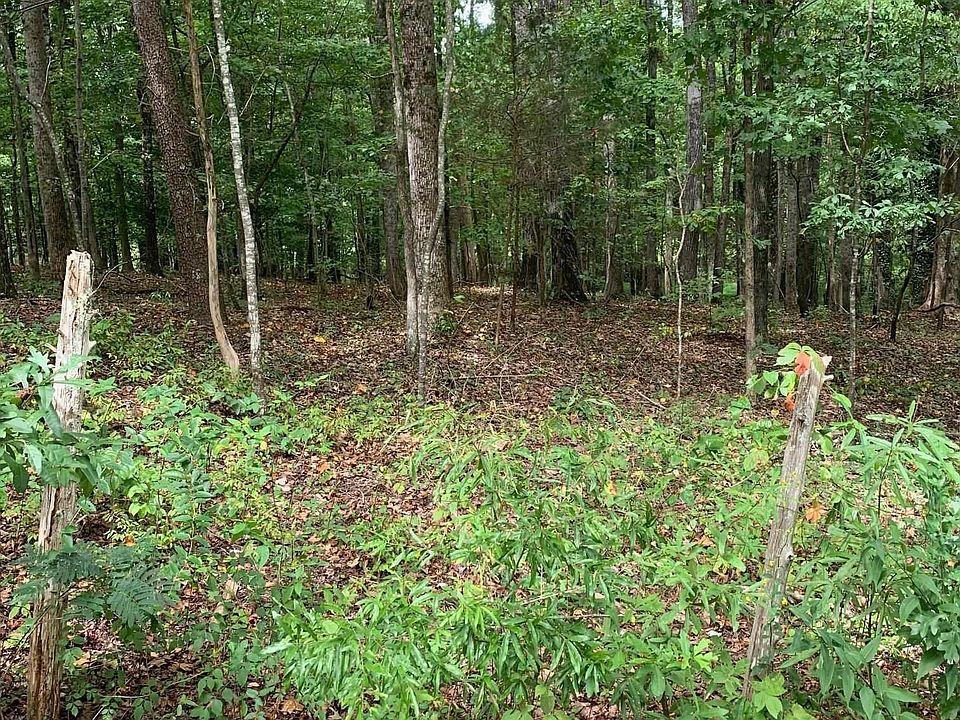 1st image of 81 Honeysuckle Dr
