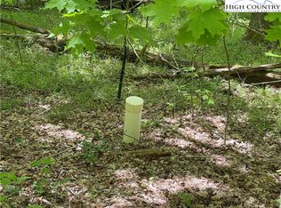 48 Rainbow Rdg, Zionville, NC 28698