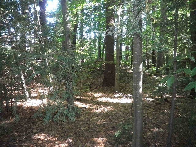 1st image of Hogg Hill Road