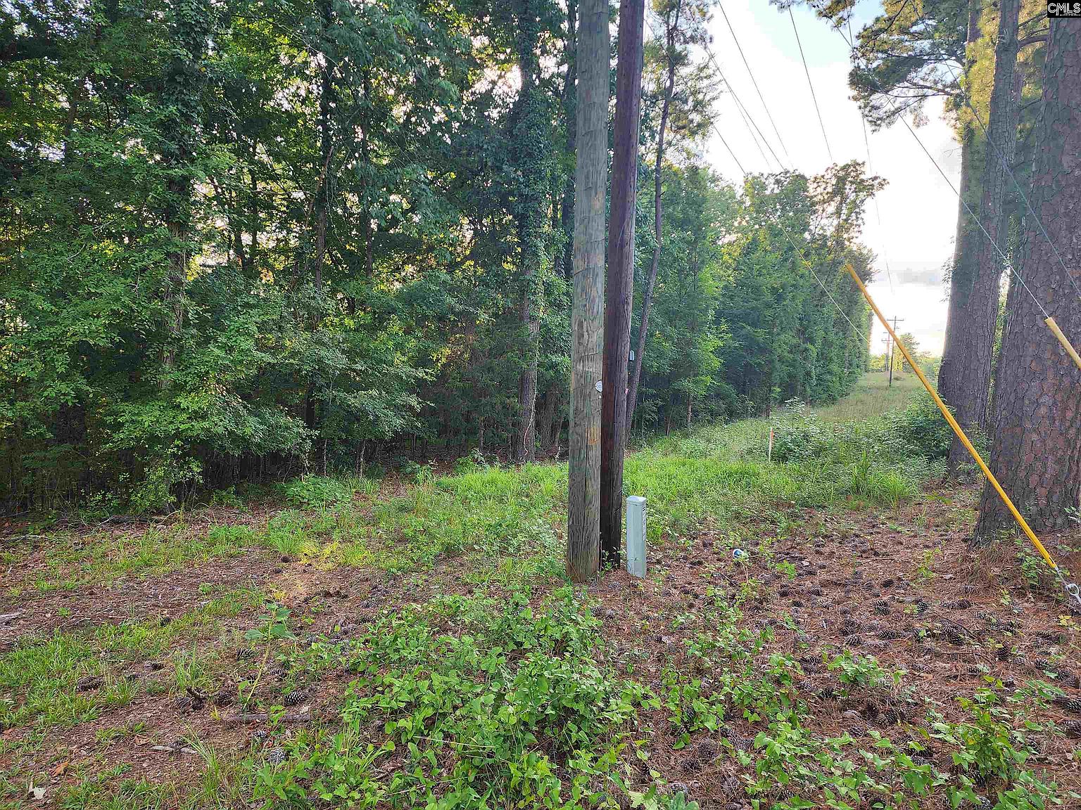 13294 State Hwy 215S, Jenkinsville, SC 29065 MLS 589274 Zillow