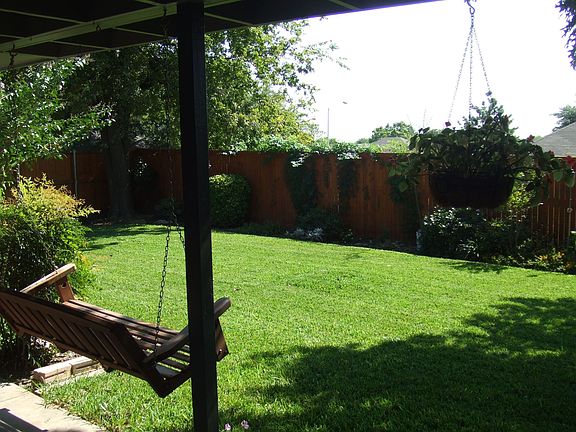 Back Yard and Patio