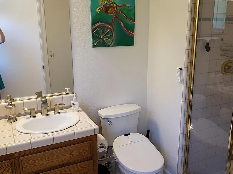 In-law suite bathroom