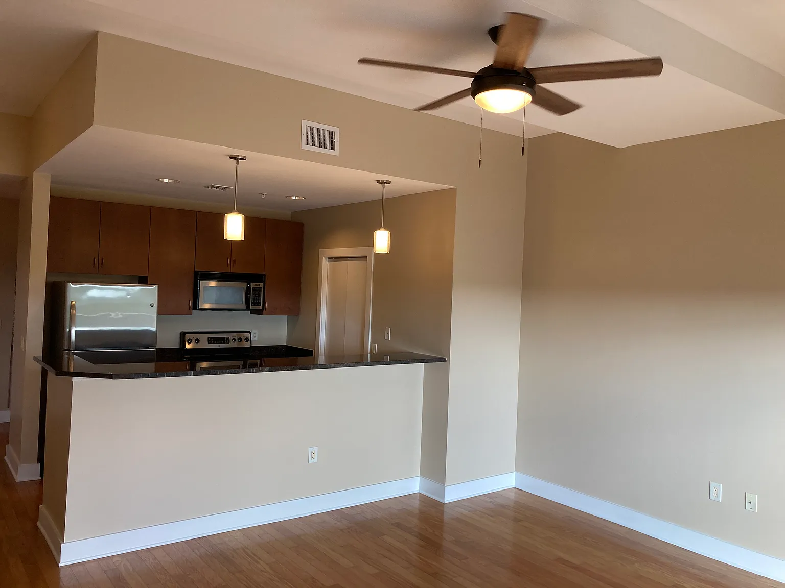 Rare Opportunity To Live In Downtown St. Pete — Photo 3