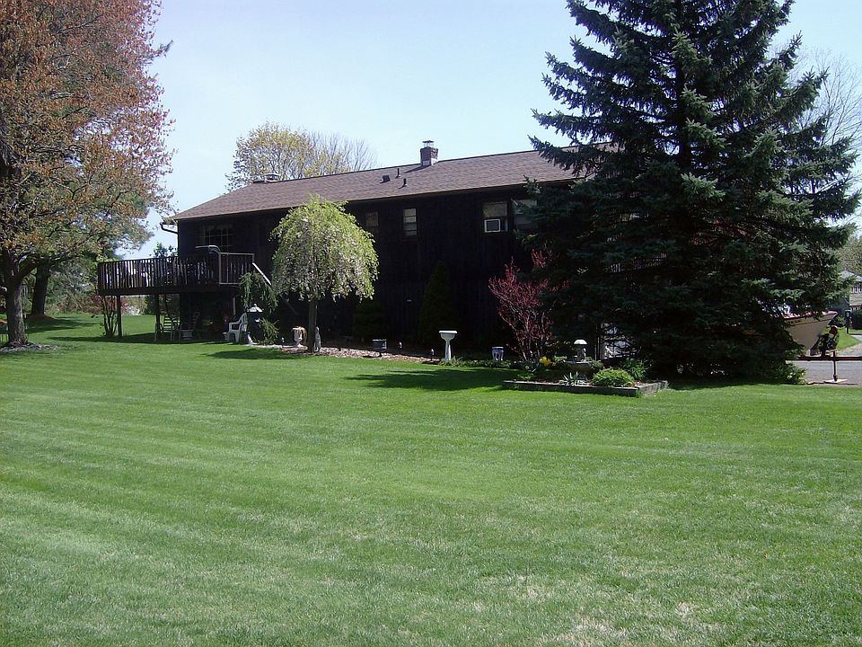 Rear view