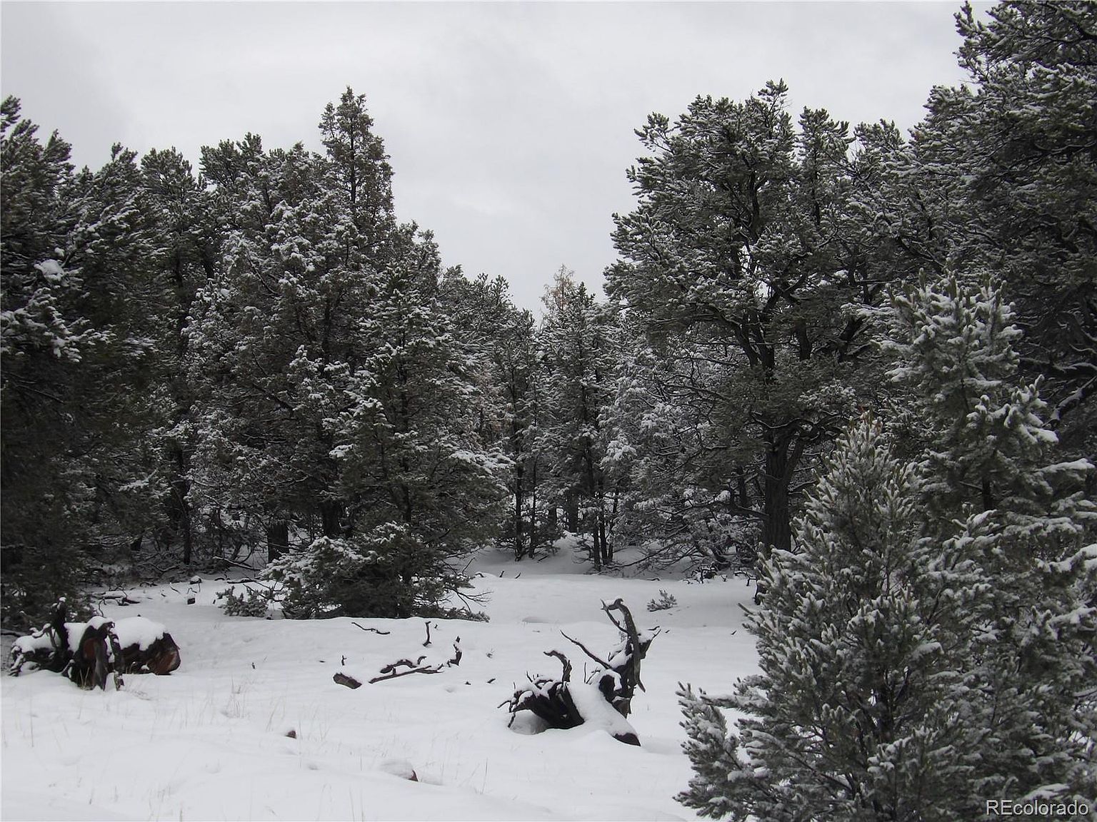 2119 & 2120 Oriole Overlook, Crestone, CO 81131 MLS 3596668 Zillow
