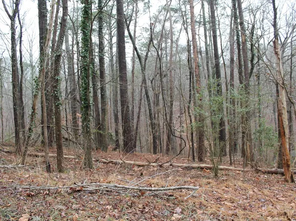 246 Driftwood Cir #15, Pinson, AL 35126