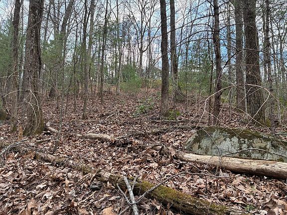 5th image of 0 Chestnut Mountain Rd