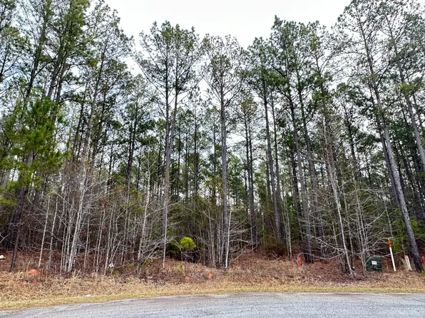 LOT C112 Dock Side Lane, Lincolnton, GA