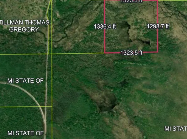 0 County Road 442, Mc Millan, MI 49853