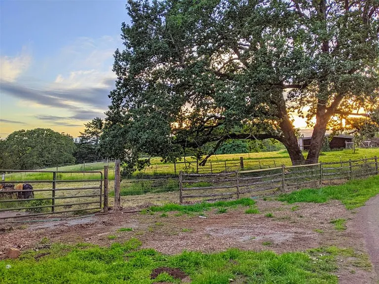 20600 NW Kings Grade Rd — Photo 5